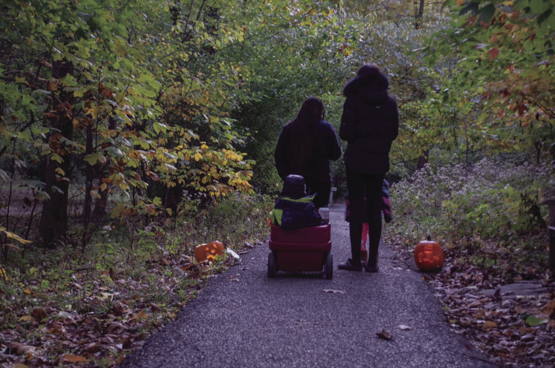 Pumpkin glow walk photos 2